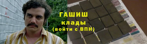 гидропоника Алзамай