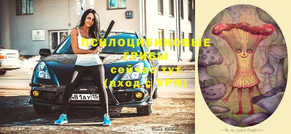 гидропоника Алзамай