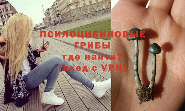 mix Нязепетровск