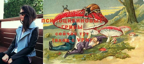 бутират Алексин