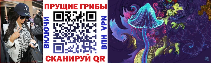 blacksprut как войти  Спасск-Рязанский  Псилоцибиновые грибы GOLDEN TEACHER 